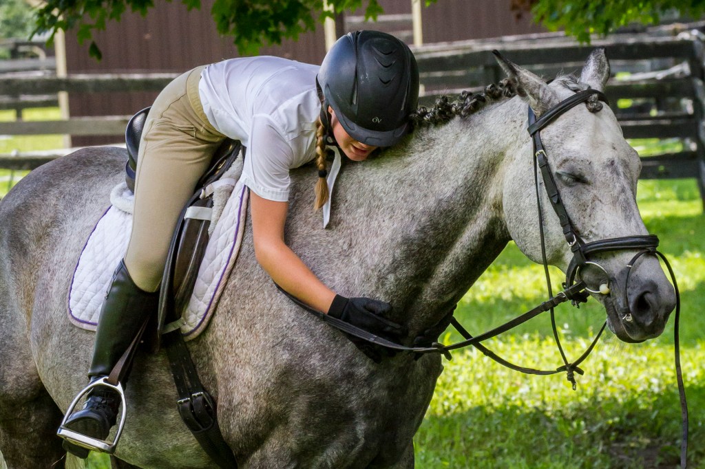 Dressage schooling show with OTTB.